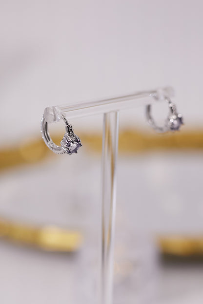 E049- Tanzanite small earrings